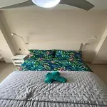 Atico Y Garaje, * Algemesi